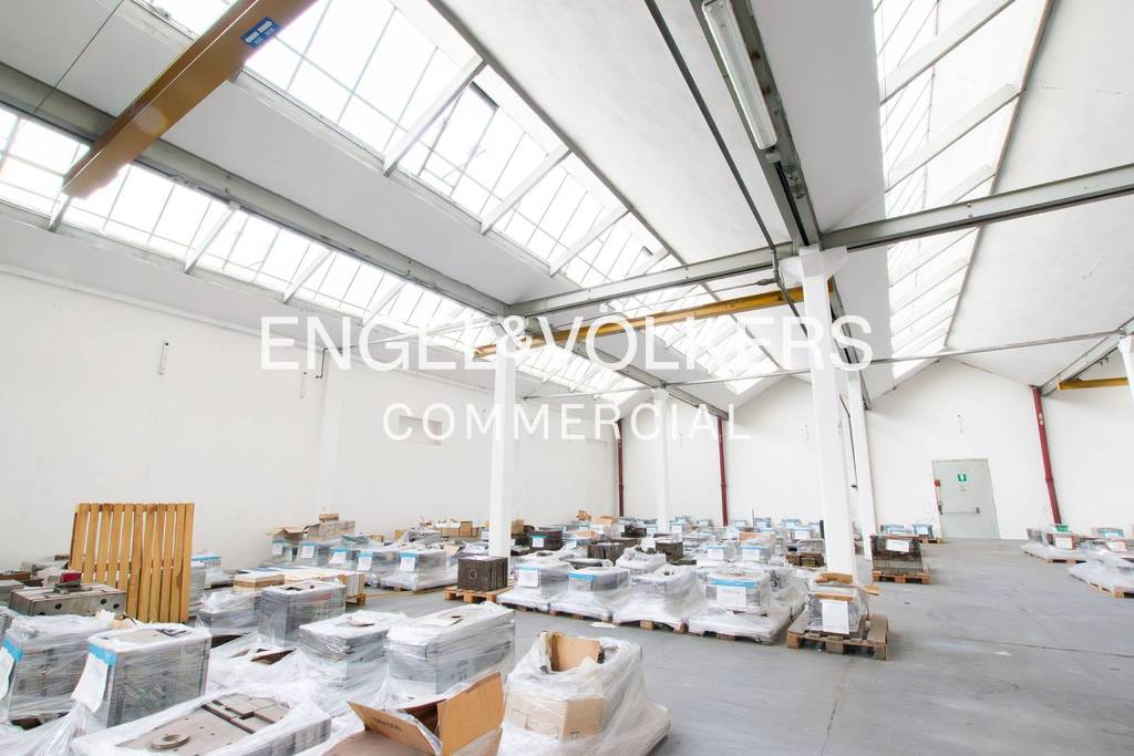 immagine annuncio 7 di 13