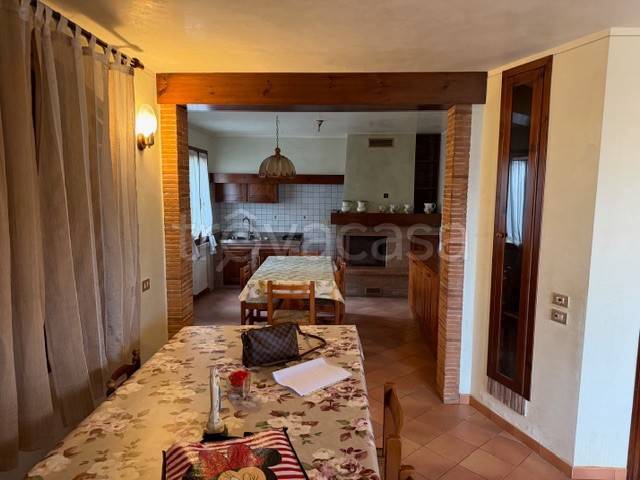 immagine annuncio 1 di 14