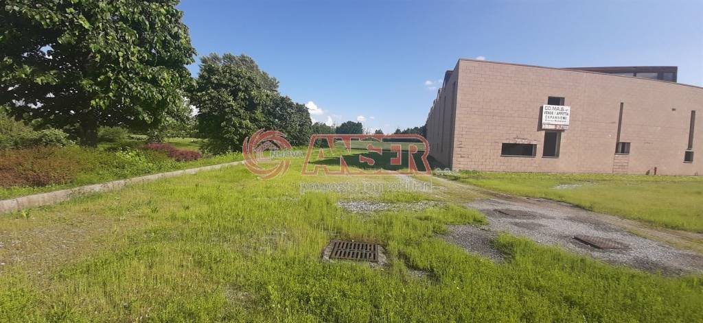 immagine annuncio 12 di 15