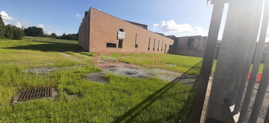 immagine annuncio 13 di 15