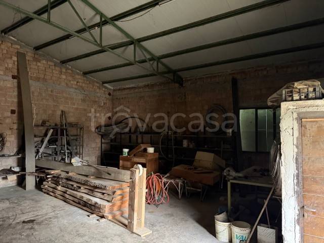 immagine annuncio 12 di 14