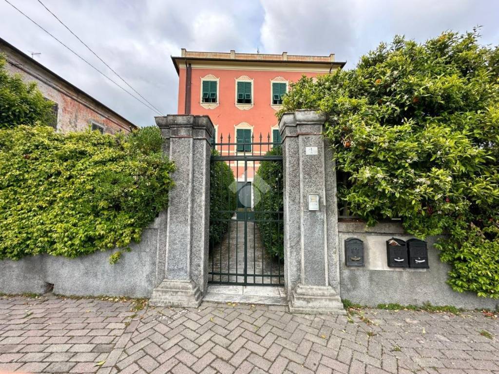 immagine annuncio 5 di 15