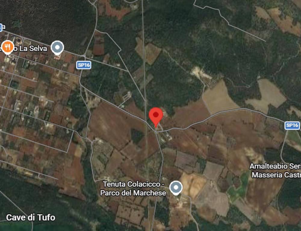 immagine annuncio 5 di 11