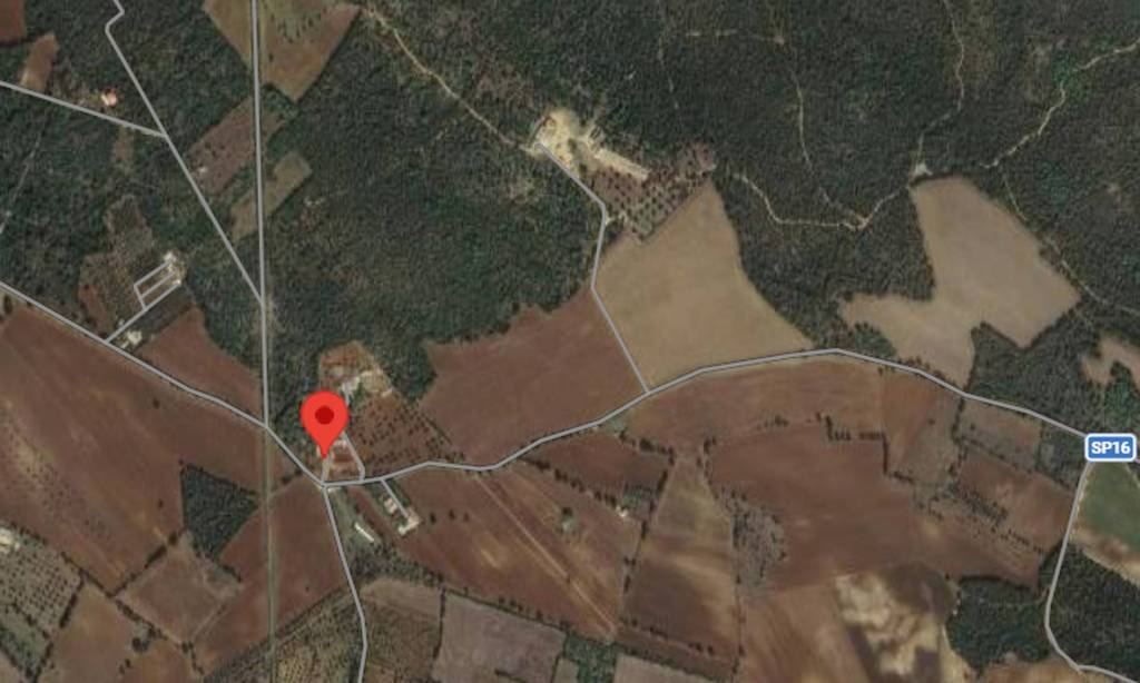 immagine annuncio 6 di 11