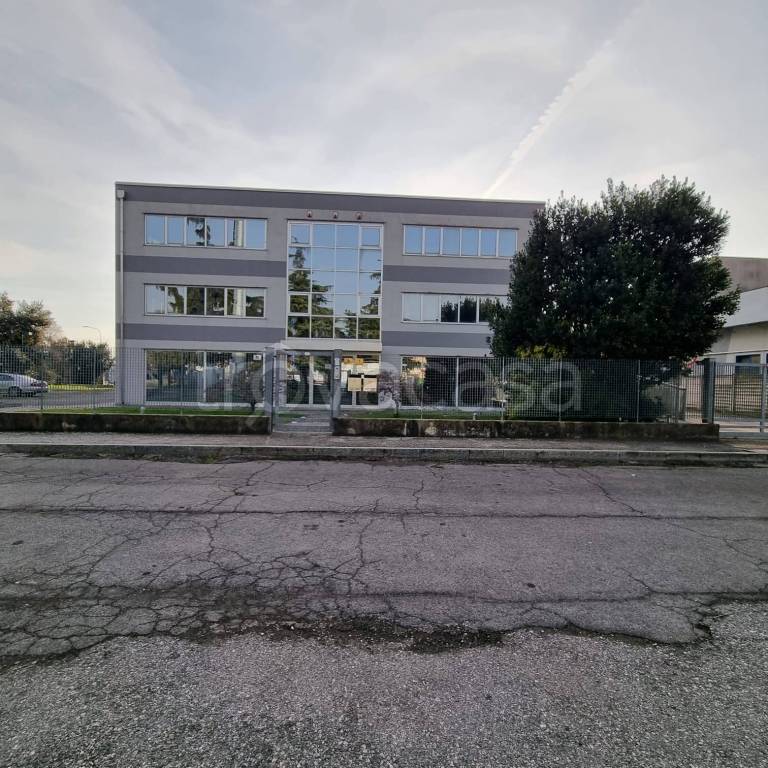 immagine annuncio 8 di 15