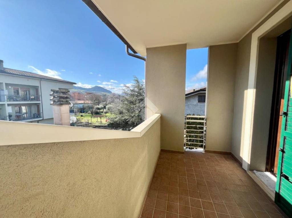 immagine annuncio 9 di 13