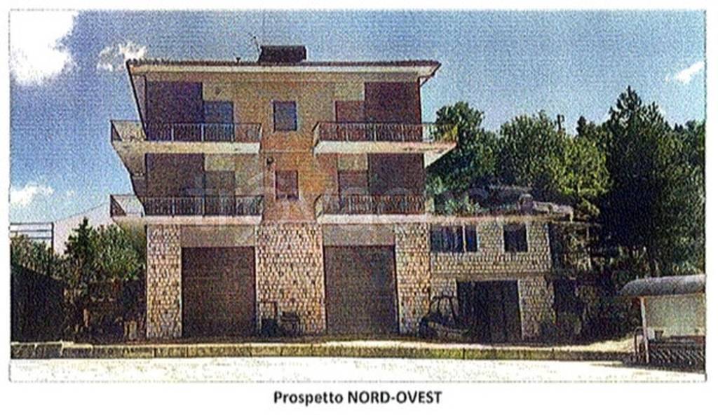 immagine annuncio 2 di 12