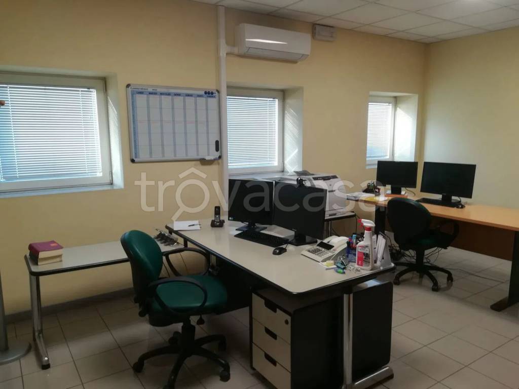 immagine annuncio 1 di 14