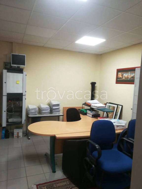 immagine annuncio 6 di 14