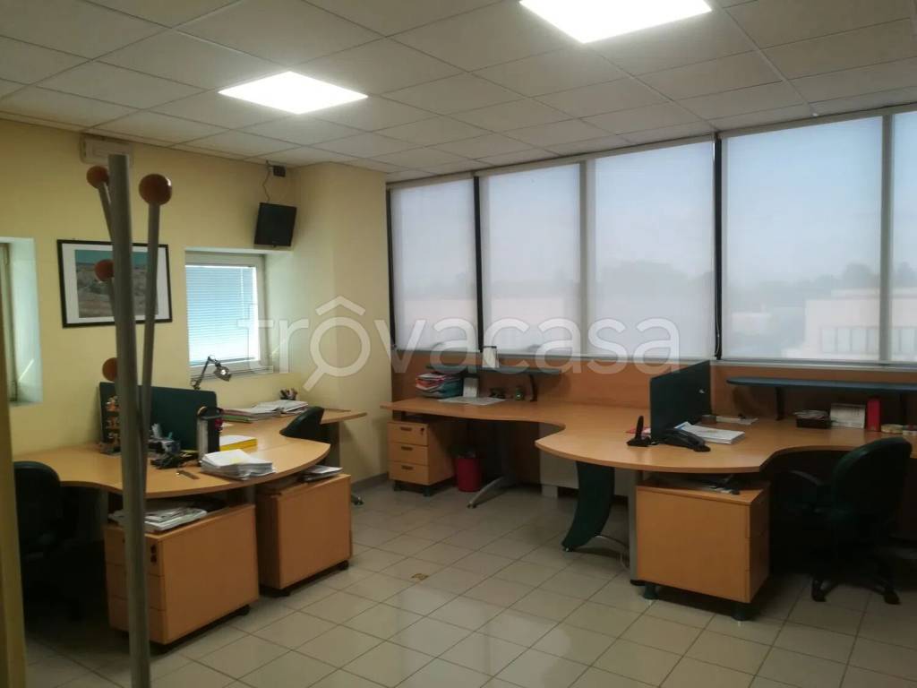 immagine annuncio 9 di 14