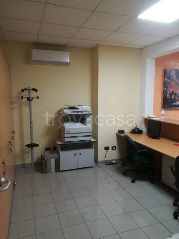 immagine annuncio 10 di 14