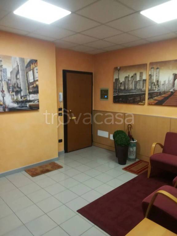 immagine annuncio 11 di 14