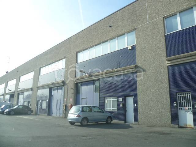 immagine annuncio 1 di 14