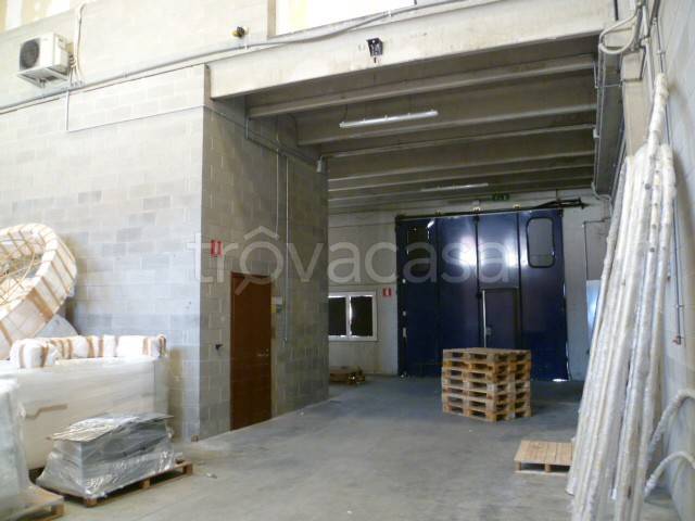 immagine annuncio 5 di 14