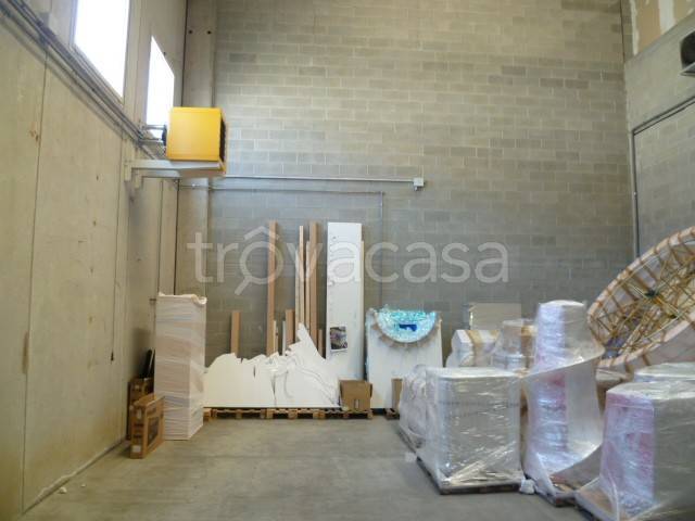 immagine annuncio 6 di 14