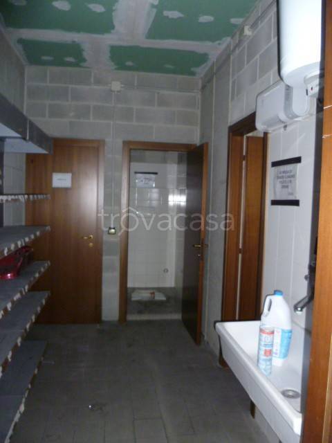 immagine annuncio 7 di 14