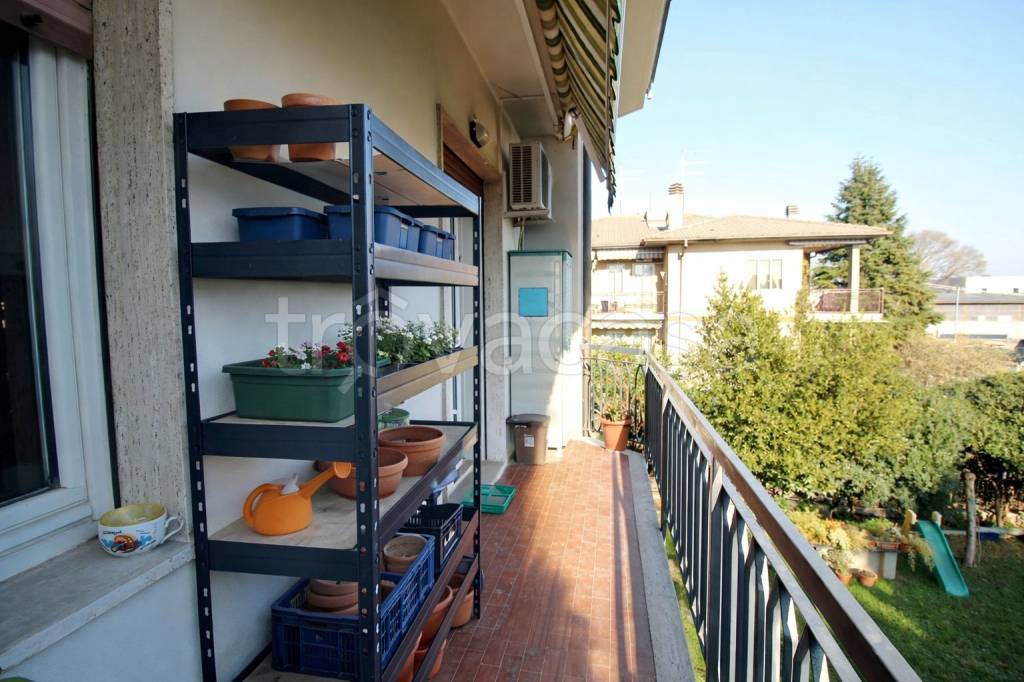 immagine annuncio 9 di 15