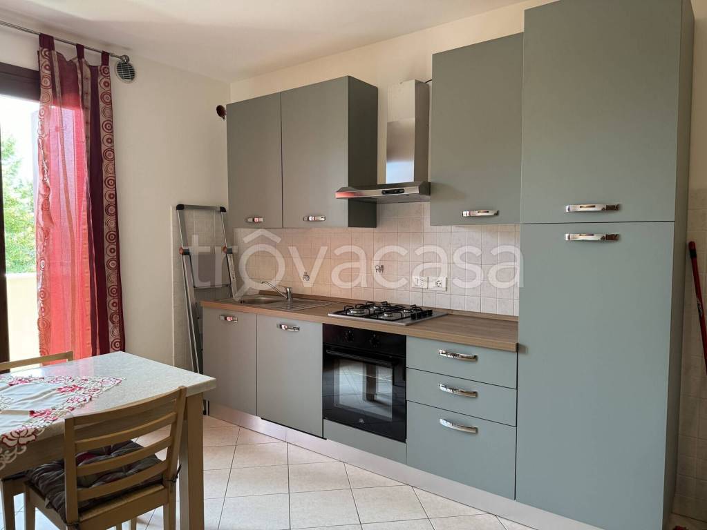 immagine annuncio 1 di 12