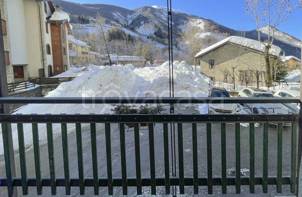 immagine annuncio 2 di 9