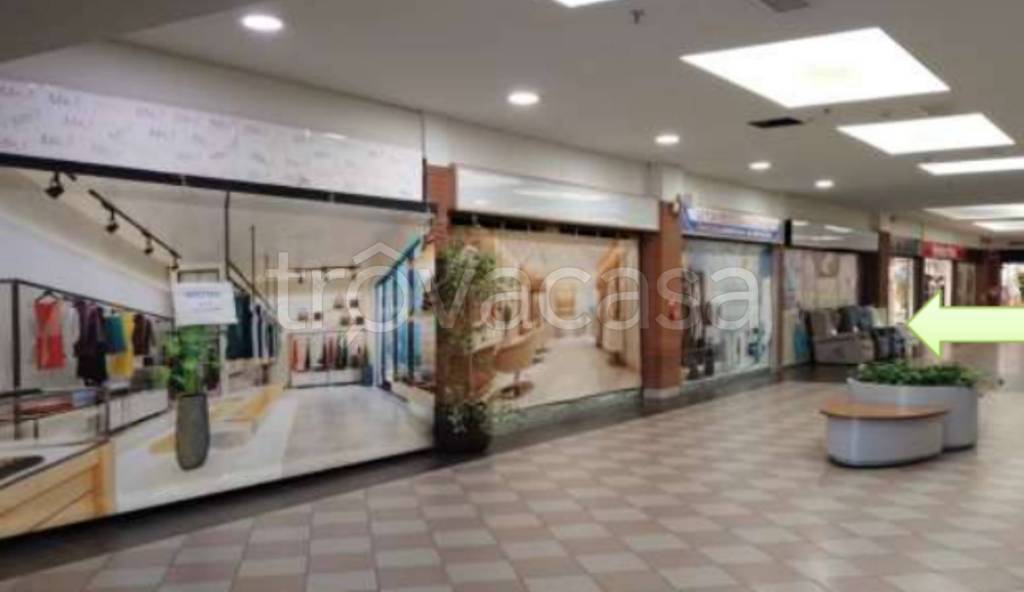 immagine annuncio 5 di 11