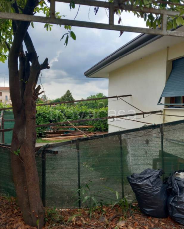 immagine annuncio 4 di 11