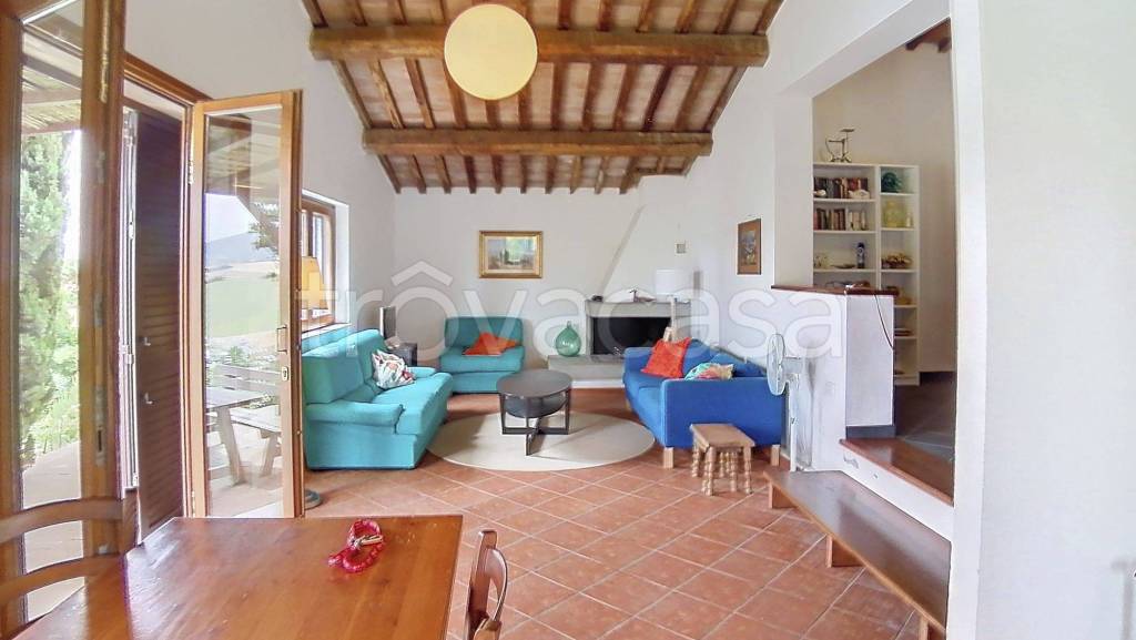 immagine annuncio 7 di 14