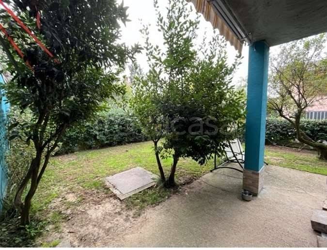 immagine annuncio 1 di 14