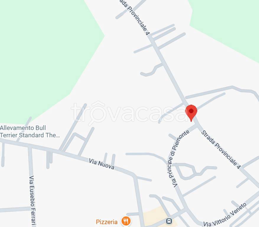 immagine annuncio 6 di 12