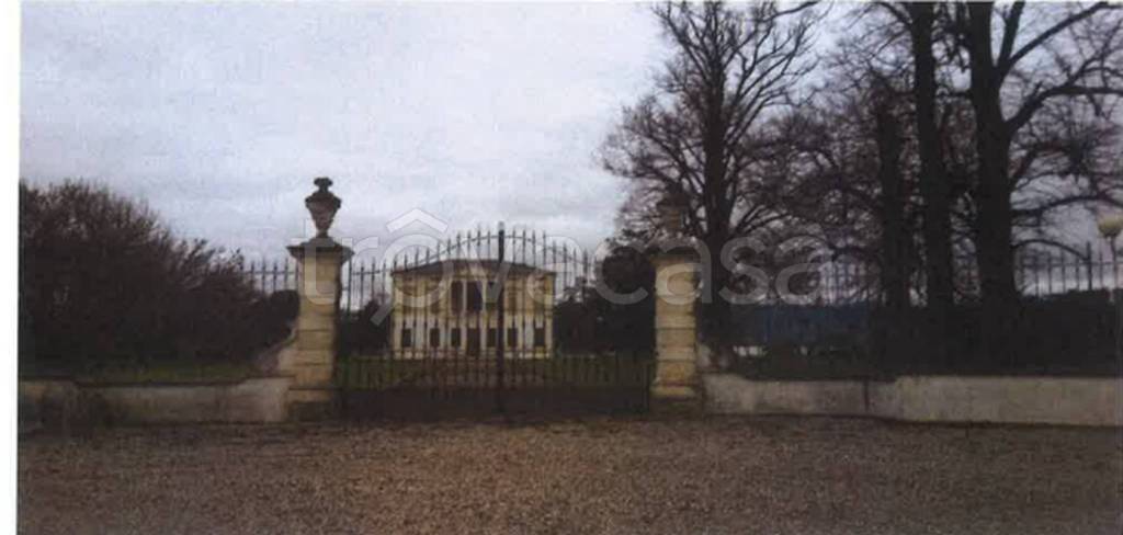 immagine annuncio 5 di 14