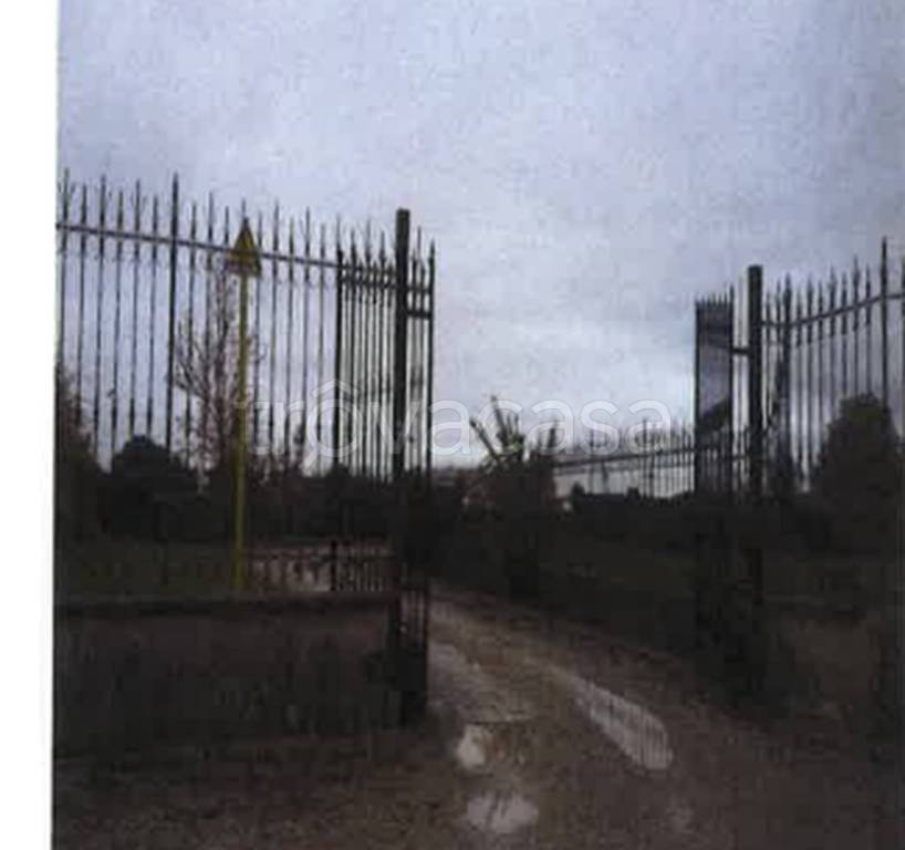 immagine annuncio 9 di 14