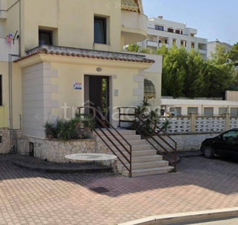 immagine annuncio 2 di 11