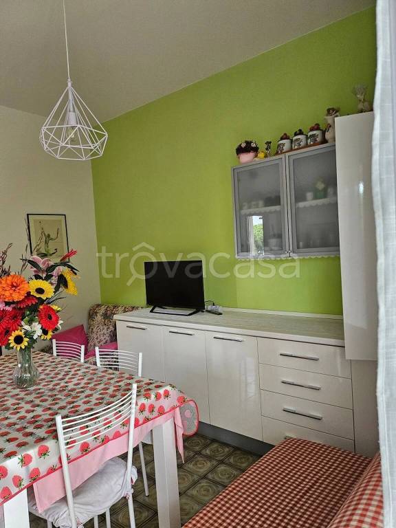 immagine annuncio 1 di 14