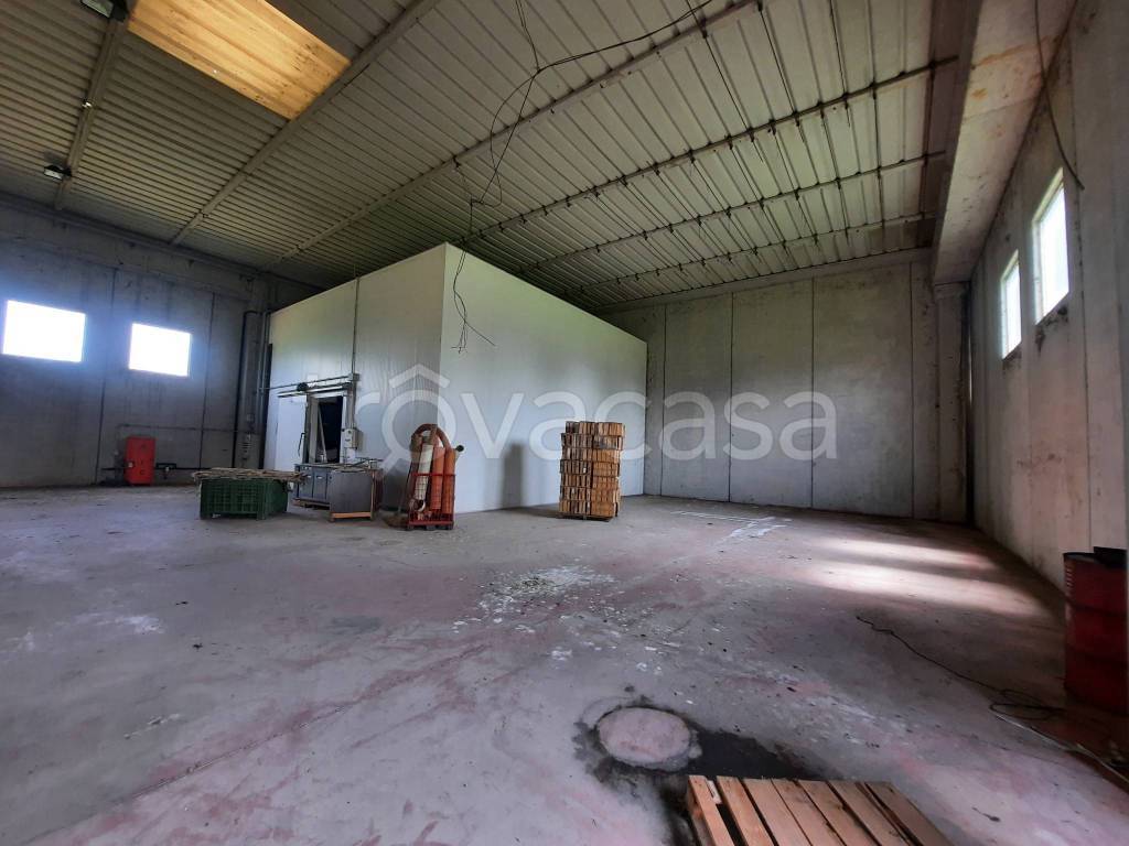 immagine annuncio 4 di 6