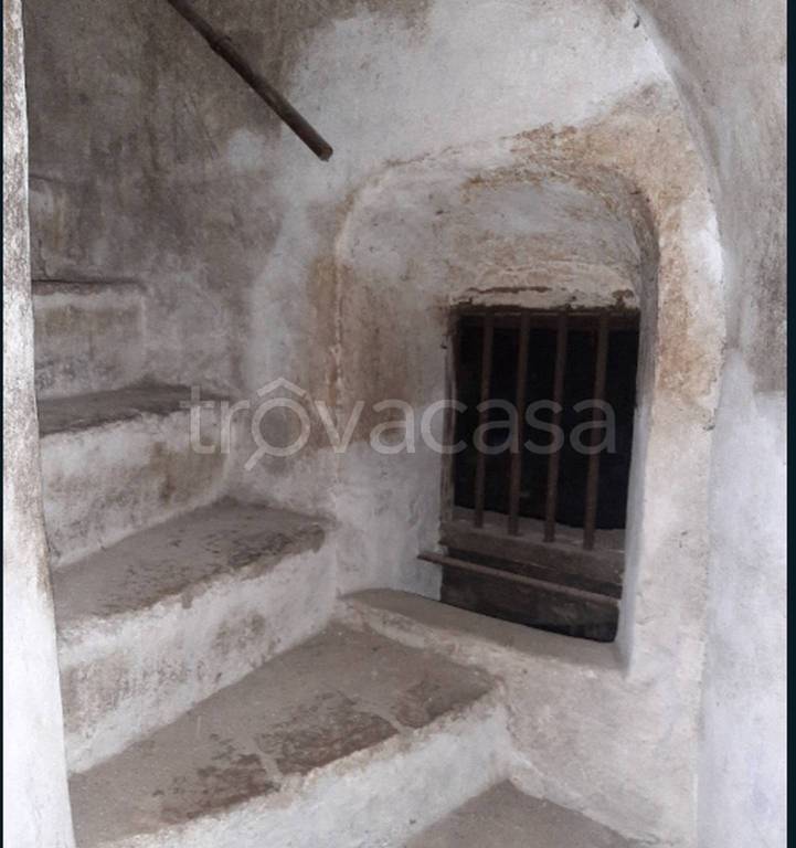 immagine annuncio 10 di 14