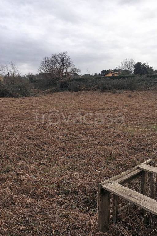 immagine annuncio 3 di 4