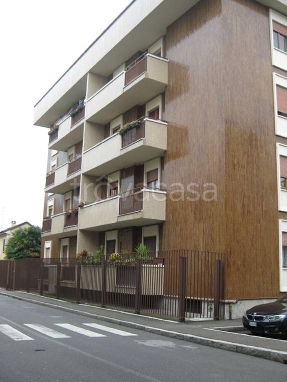 immagine annuncio 1 di 12