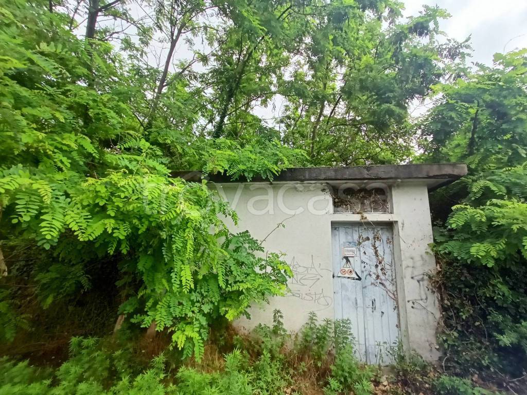 immagine annuncio 12 di 15