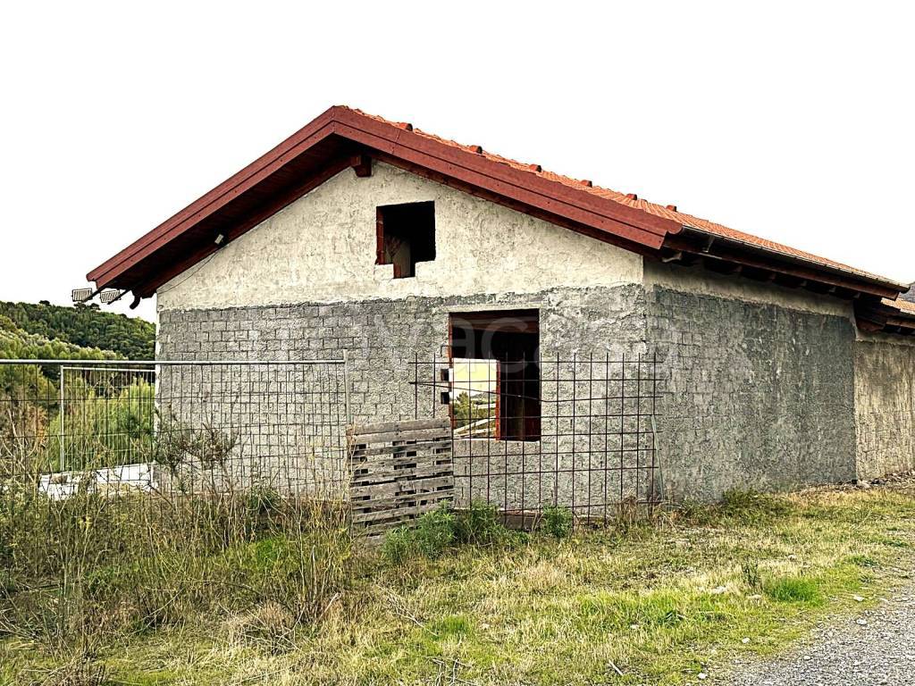 immagine annuncio 1 di 12