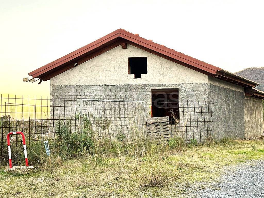 immagine annuncio 9 di 12