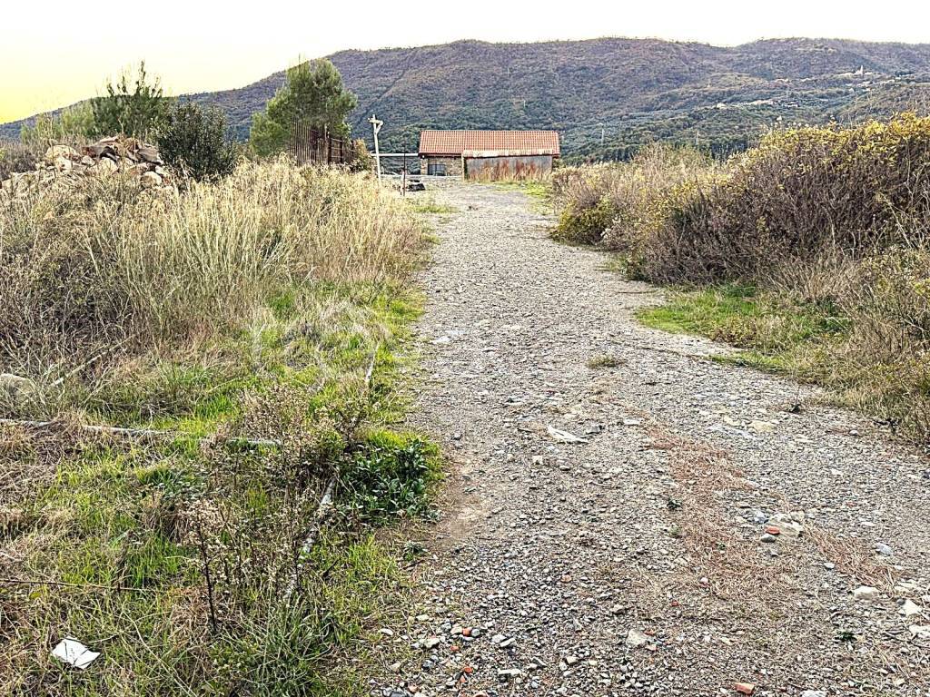 immagine annuncio 10 di 12