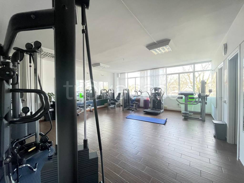 immagine annuncio 4 di 9