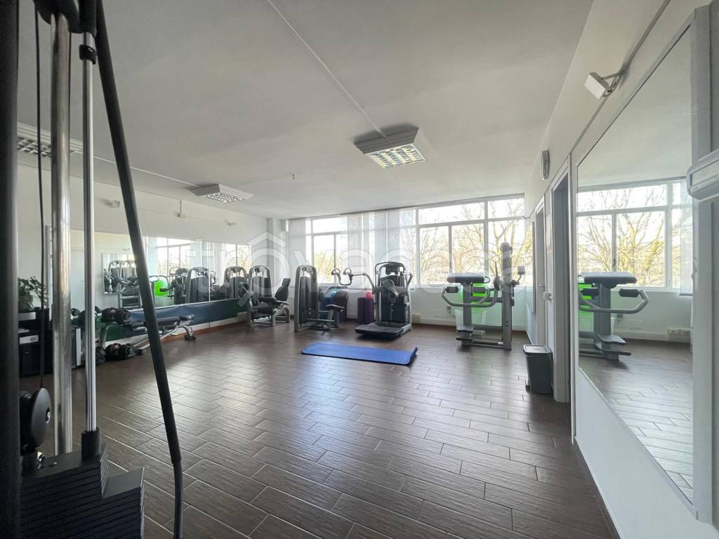 immagine annuncio 5 di 9