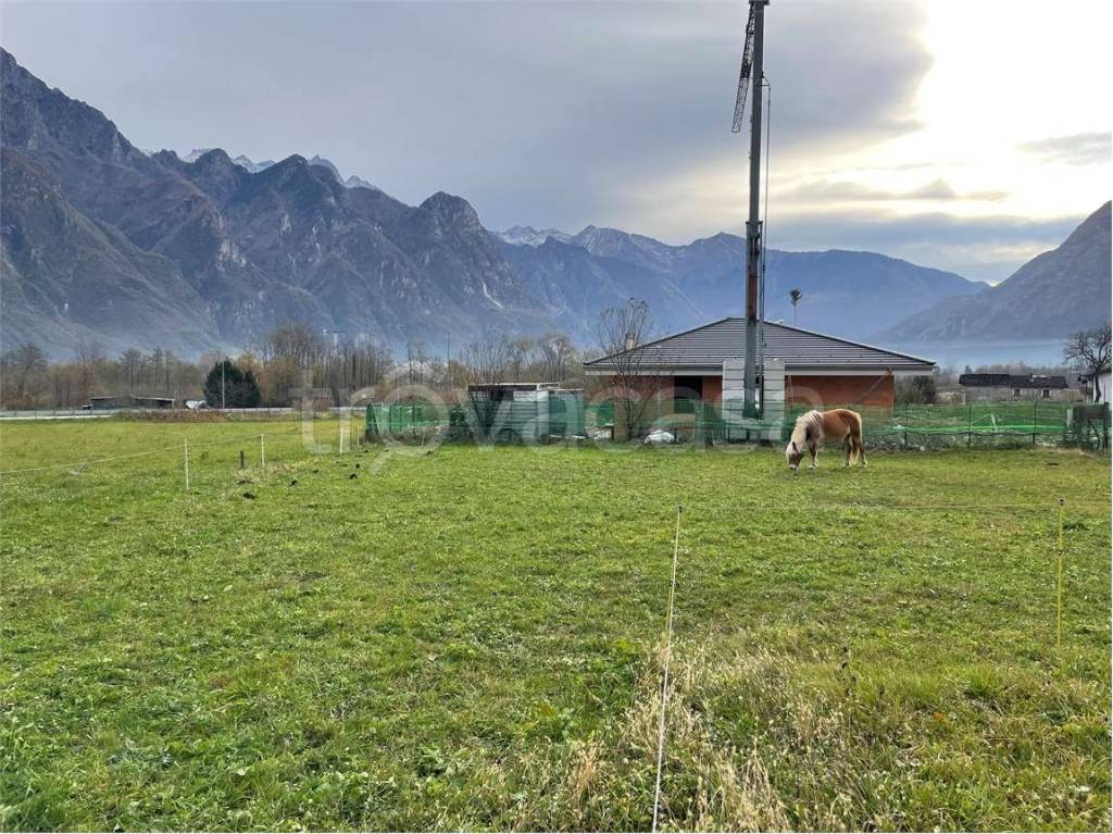 immagine annuncio 1 di 9