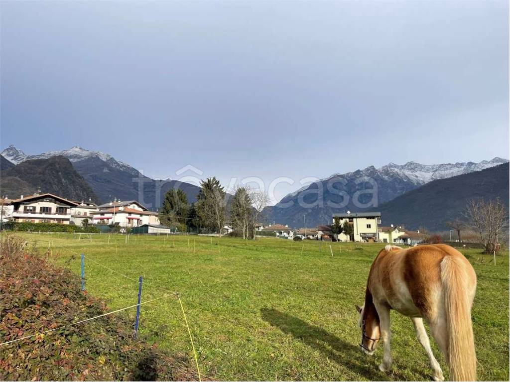 immagine annuncio 2 di 9