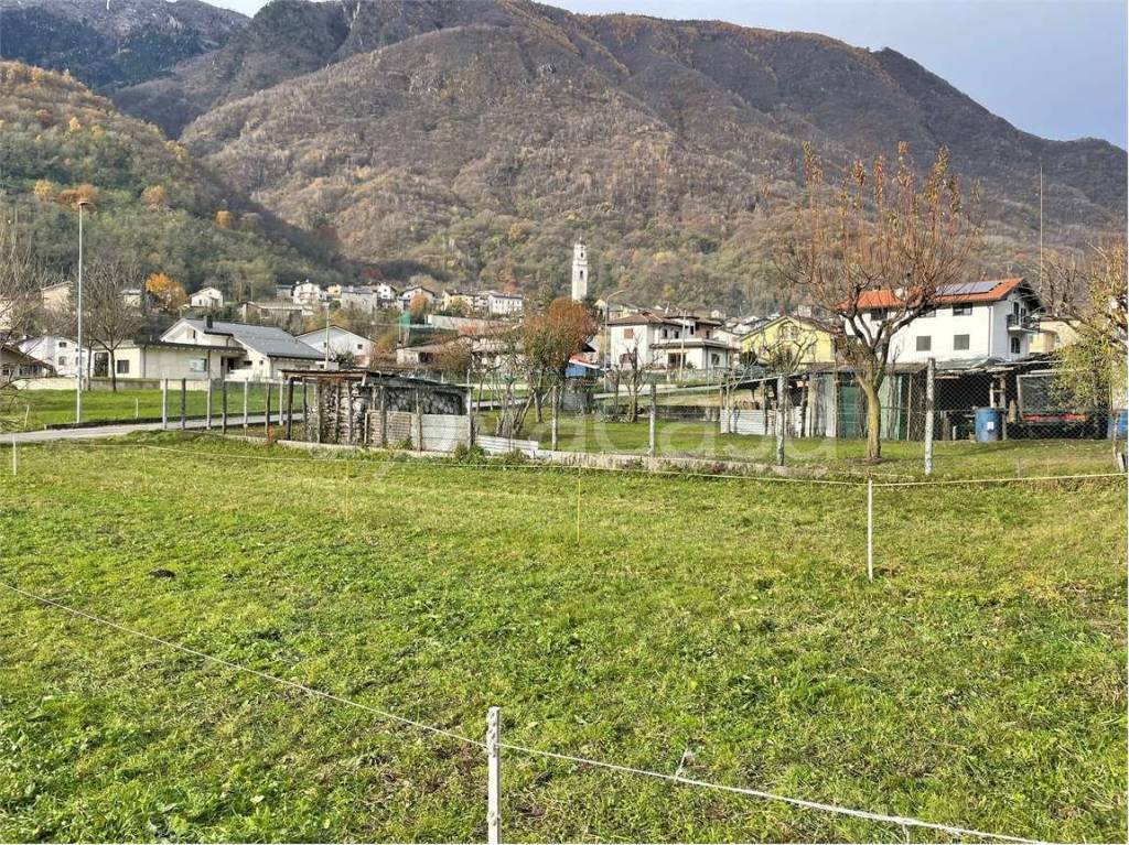 immagine annuncio 5 di 9