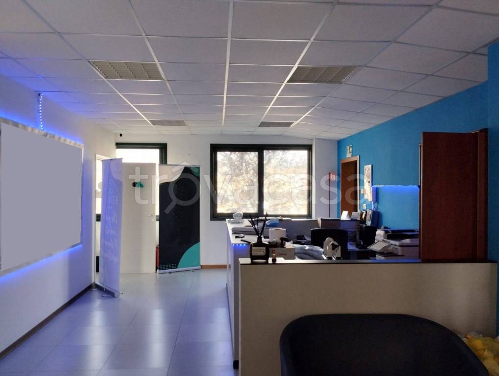 immagine annuncio 3 di 7