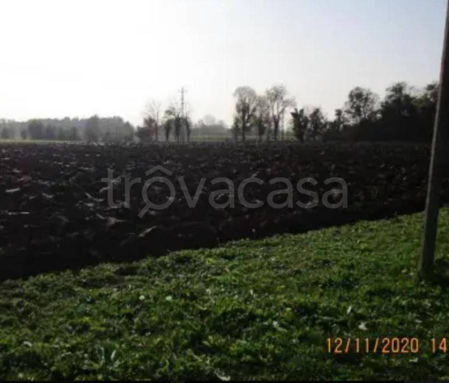 immagine annuncio 9 di 12