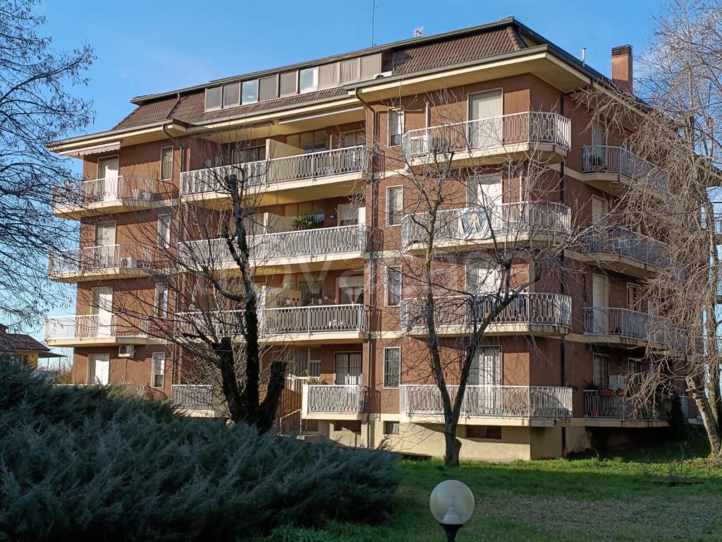 immagine annuncio 1 di 15