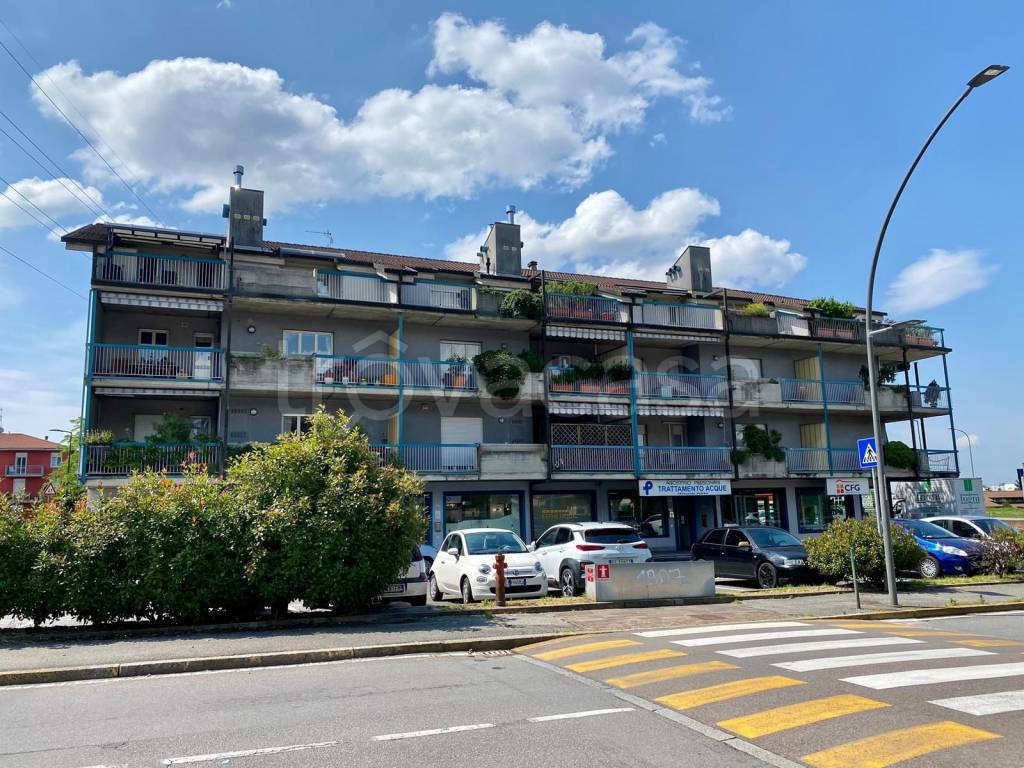 immagine annuncio 1 di 15