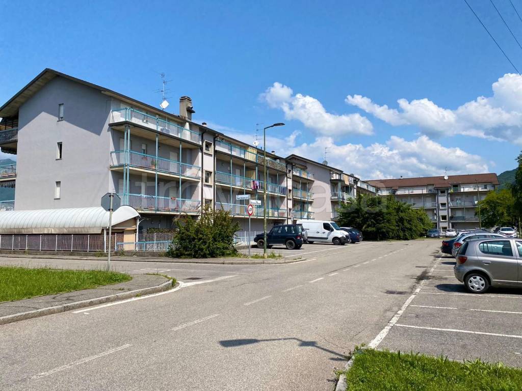 immagine annuncio 5 di 11